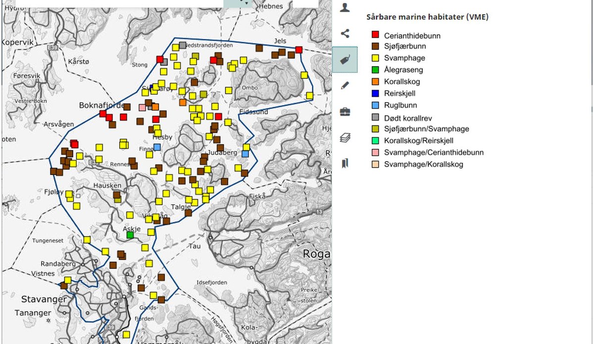 Utsnitt fra kartvisning av Marine grunnkart i kystsonen som viser registrerte s&aring;rbare habitater til sj&oslash;s utenfor Stavanger.