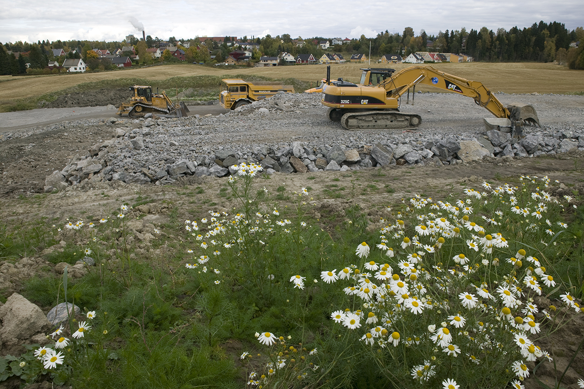 En byggeplass med anleggsmaskiner og blomster i forgrunnen, med hus og skog i bakgrunnen.