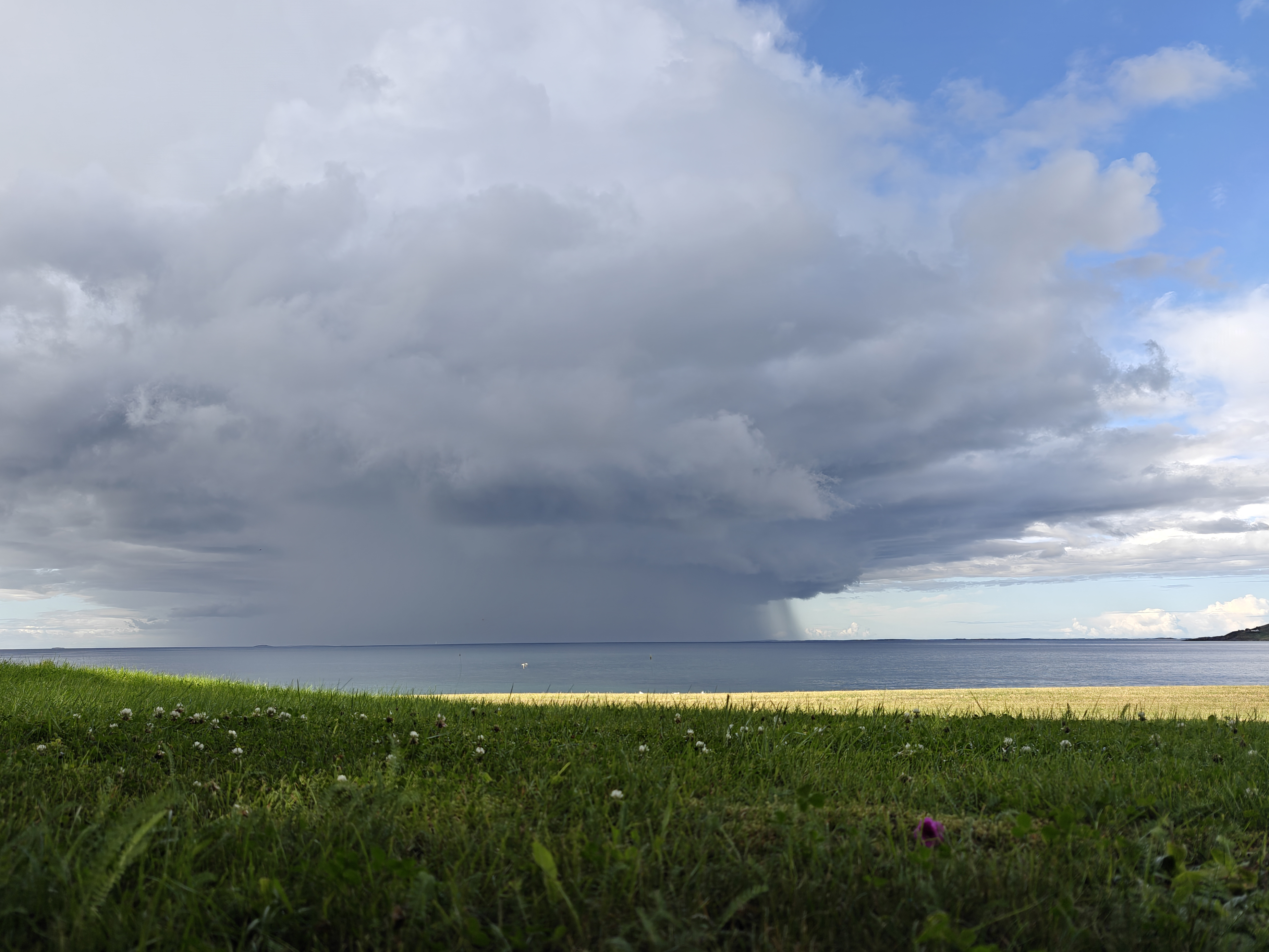 Grønn slette ut mot fjære og hav. Himmelen er dekt av en stor sky med mye vær.